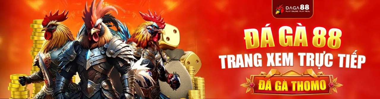 Đá gà trực tuyến fsbet chính thức